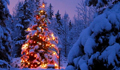 christmas_tree