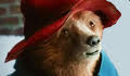 paddington
